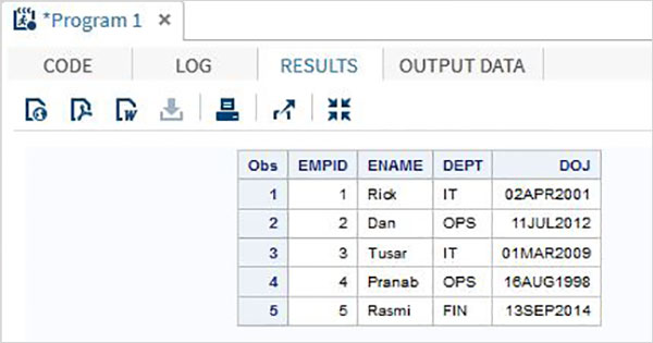 SAS Input 输入方法