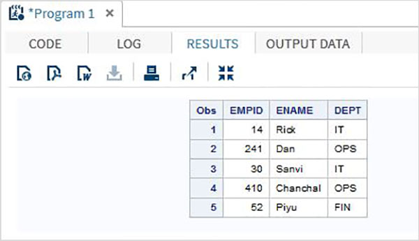 SAS Input 输入方法